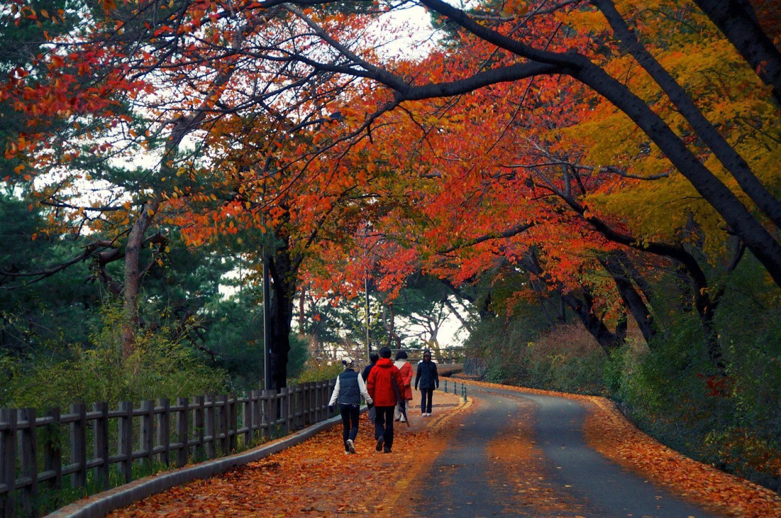 8 Kawasan Rekreasi Di Korea Selatan Terpopuler