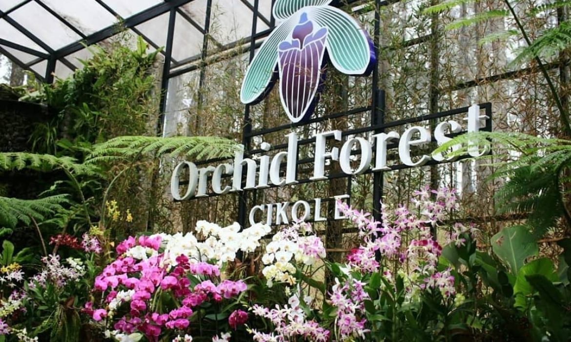 Orchid Forest Cikole  Lembang, Taman Anggrek Di Lembang