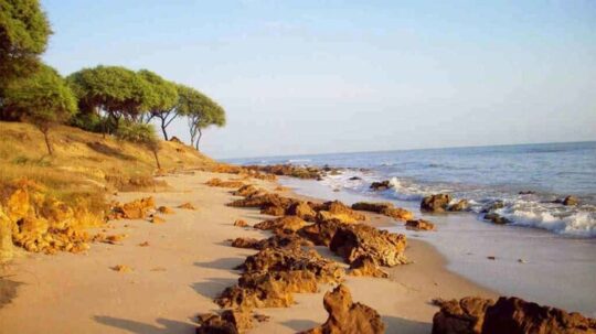 9 Pantai Di Rembang, Dari Yang Modern, Terbagus, Hingga Pulau Berpasir Putih