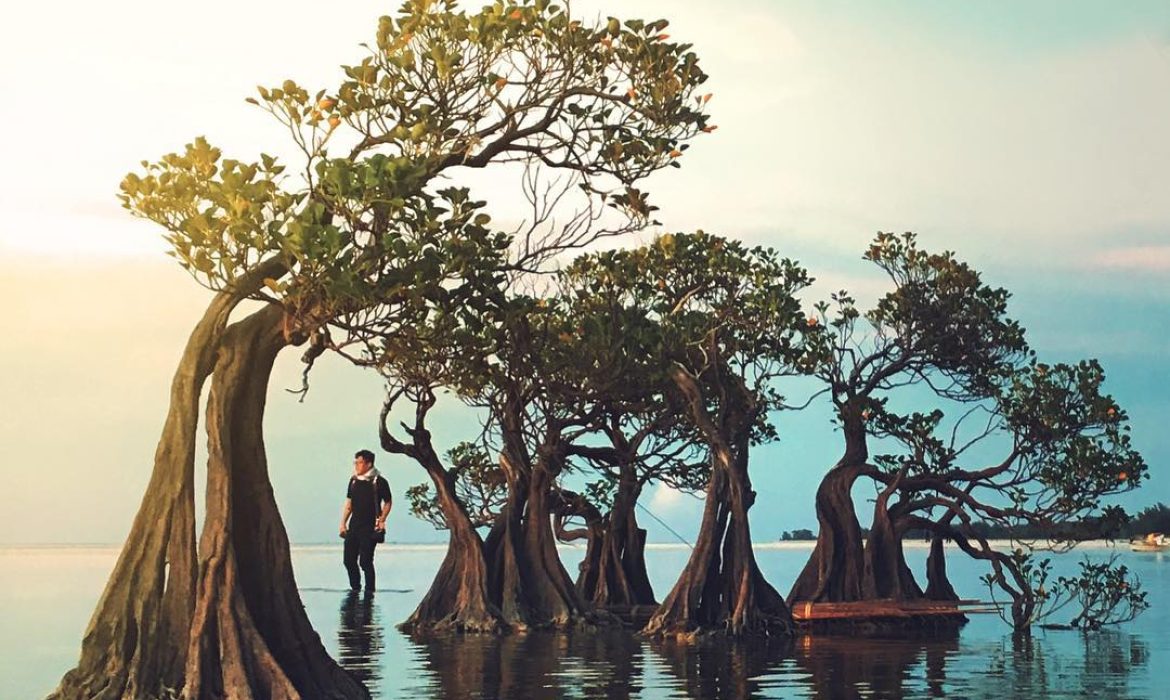 Sumba Cocok Jadi Tujuan Piknik Tahun Depan? Cek Dahulu!