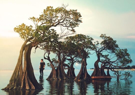 Sumba Cocok Jadi Tujuan Piknik Tahun Depan? Cek Dahulu!