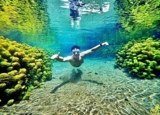 Daerah Wisata Di Malang Yang Murah