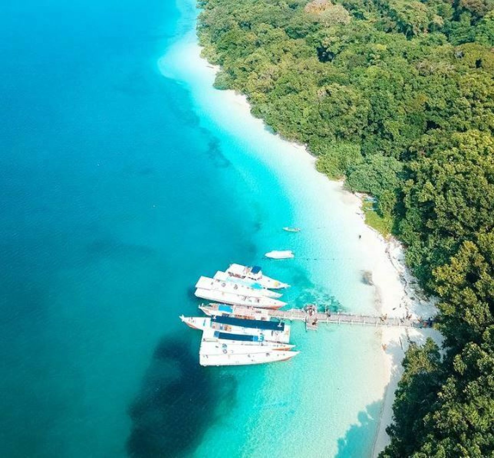 Pulau Peucang Ujung Kulon, Pesona Dan Harga Trip