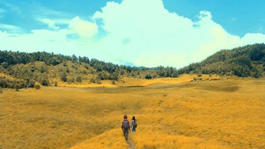 10 Wisata Di Dieng Yang Paling Terkenal, Cocok Untuk Dikunjungi Kini!