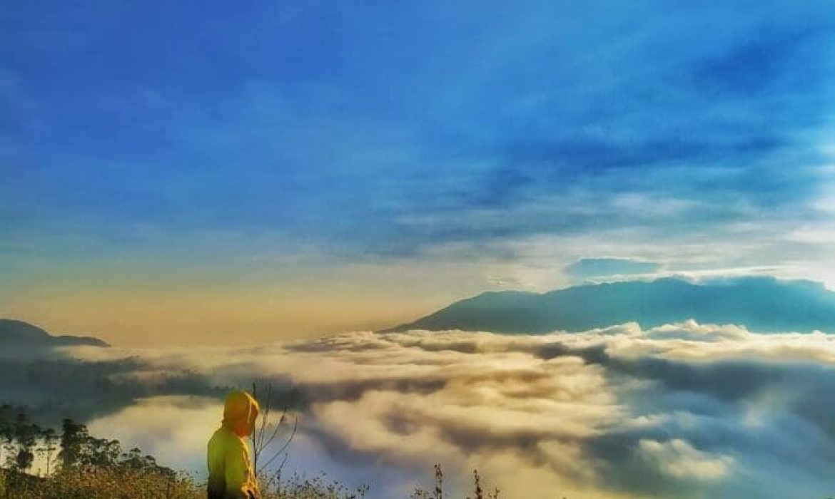 Taman Langit Pangalengan Bandung, Cocok Untuk Camping