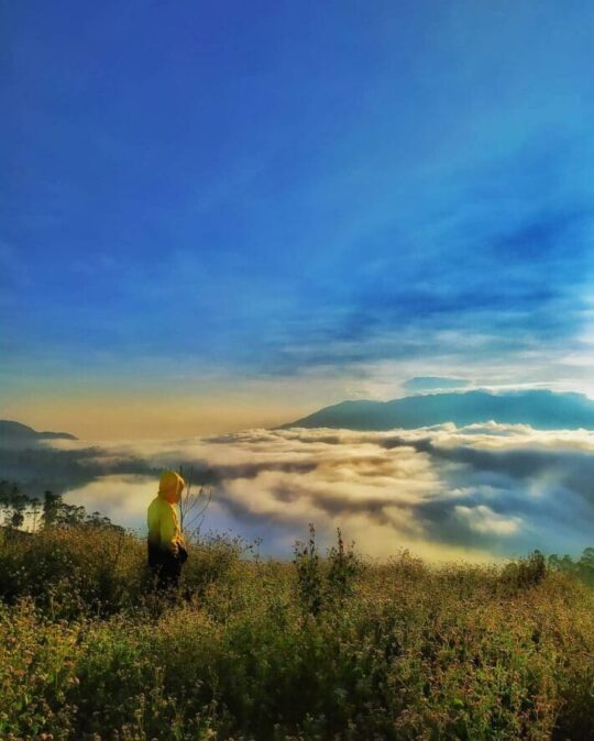 Taman Langit Pangalengan Bandung, Cocok Untuk Camping