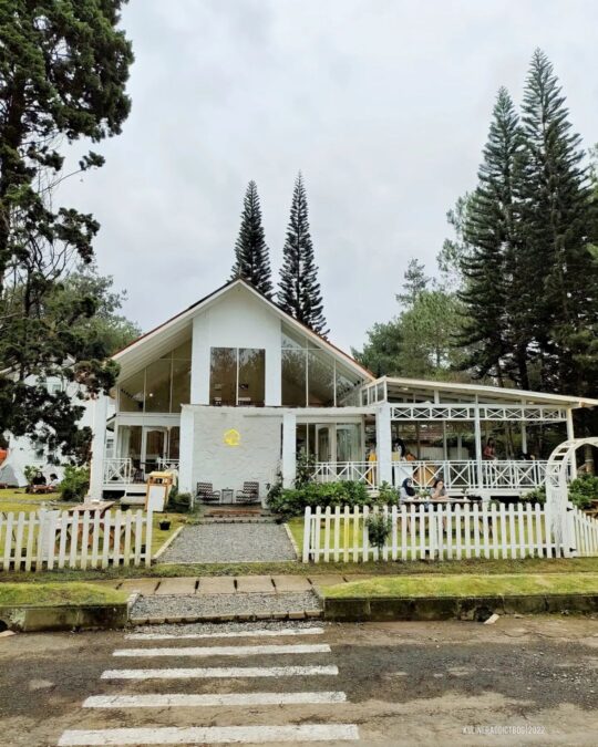 Yuk Main [Dan Makan] Di Periode Cemara Bandung!