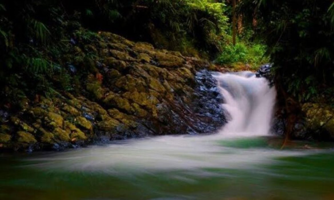 Curug Putri Kencana: Pesona Gerojokan & Kolam Alami Eksotis Di Bogor