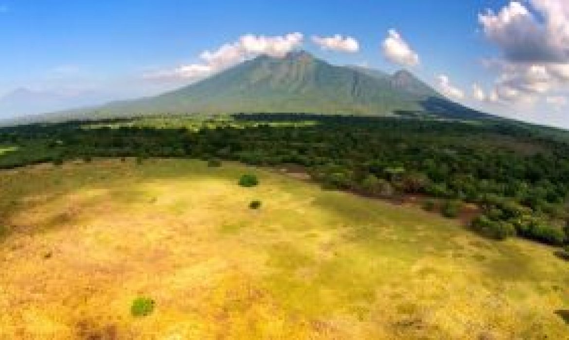 Taman Nasional Baluran, Eksotisme Afrika Di Pulau Jawa