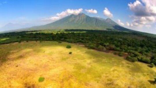 Taman Nasional Baluran, Eksotisme Afrika Di Pulau Jawa
