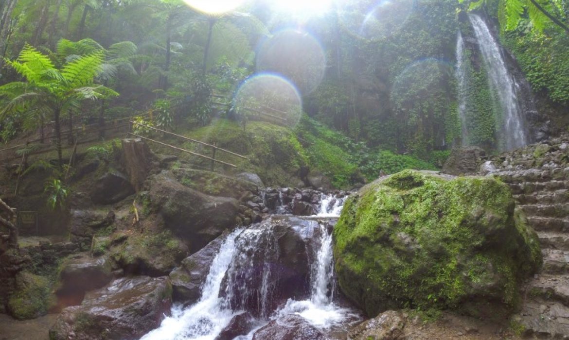 Teladas Jumog Karanganyar, Pesona Alam Yang Menawan  Di Kaki Gunung Lawu