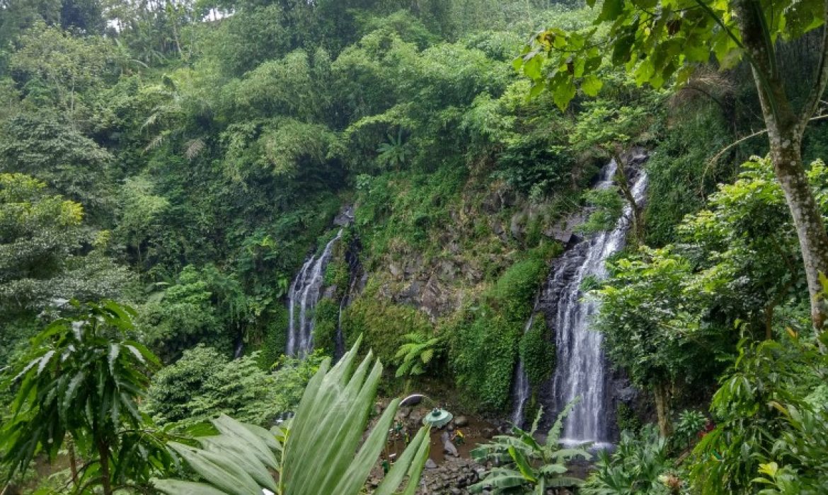 Teladas Pengantin Ngawi – Daya Tarik, Kegiatan, Lokasi & Harga Tiket