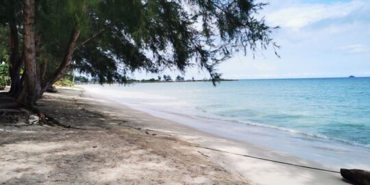 Bintan Blue Coral, Menikmati Sejuknya Suasana Hutan Pinus Sembari Kulineran