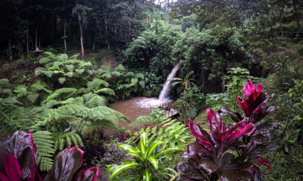 Coban Jahe Malang, Teladas Bertingkat Nan Indah Di Tengah Hutan