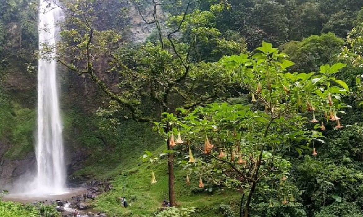 Daya Tarik Curug Cimahi, Surga Alam Tersembunyi Nan Eksotis Di Bandung