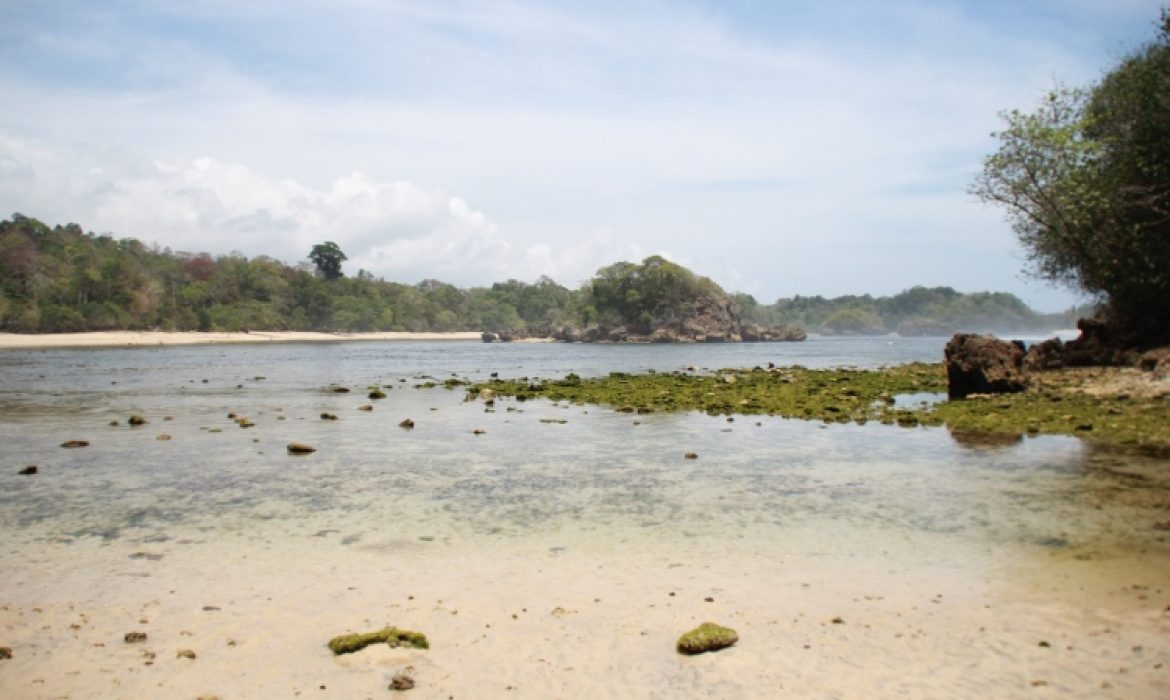 Pantai Banyu Meneng Malang – Daya Tarik, Aktivitas Piknik, Lokasi & Harga Tiket