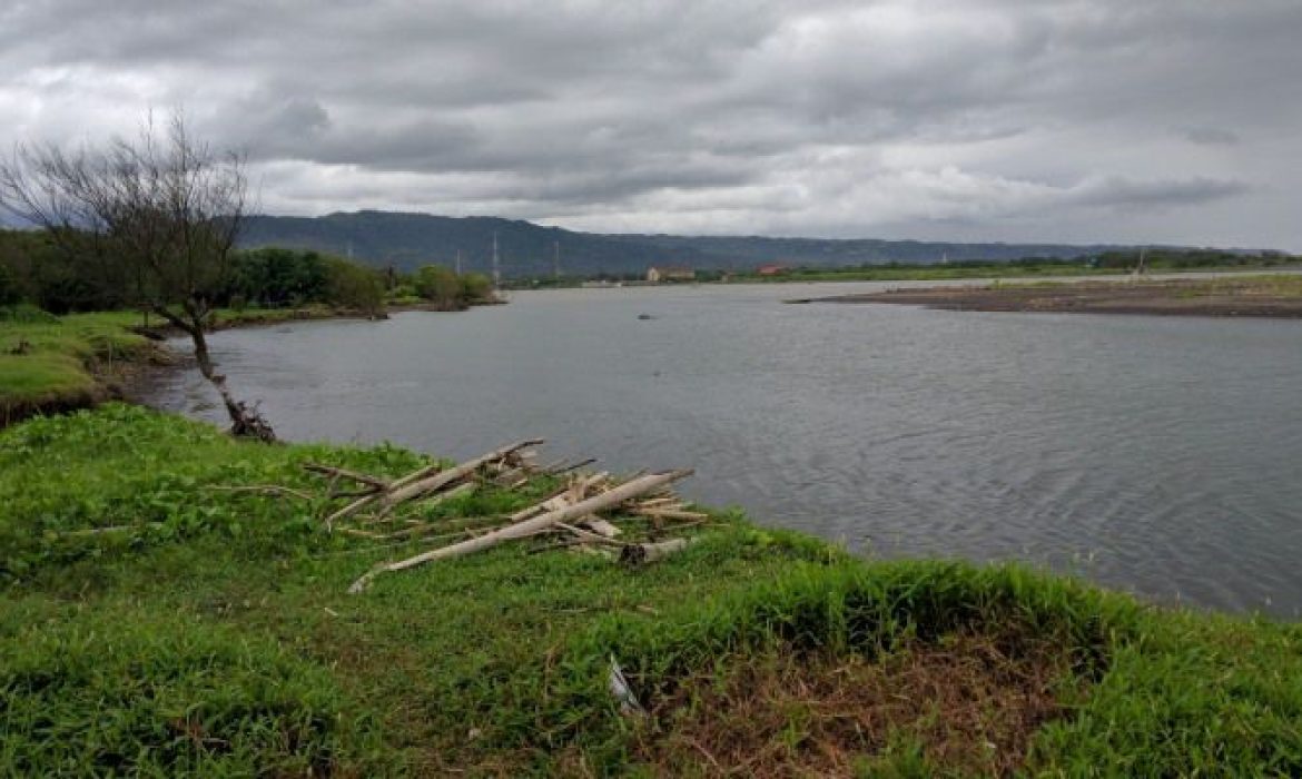 Pantai Baros, Daya Tarik Pantai Eksotis & Hutan Mangrove Di Bantul Jogja