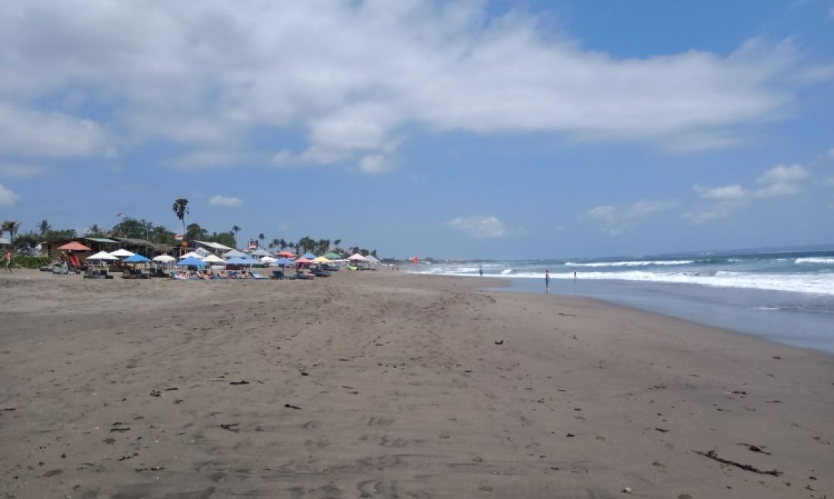 Pantai Berawa Bali, Pantai Bagus & Spot Berselancar Favorit Di Pembangkang