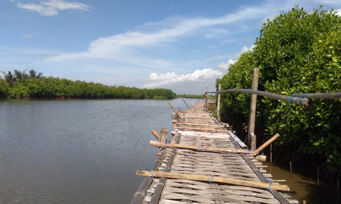 Pantai Congot Kulon Progo, Pantai Anggun Nan Hijau Tujuan Favorit Pemancing