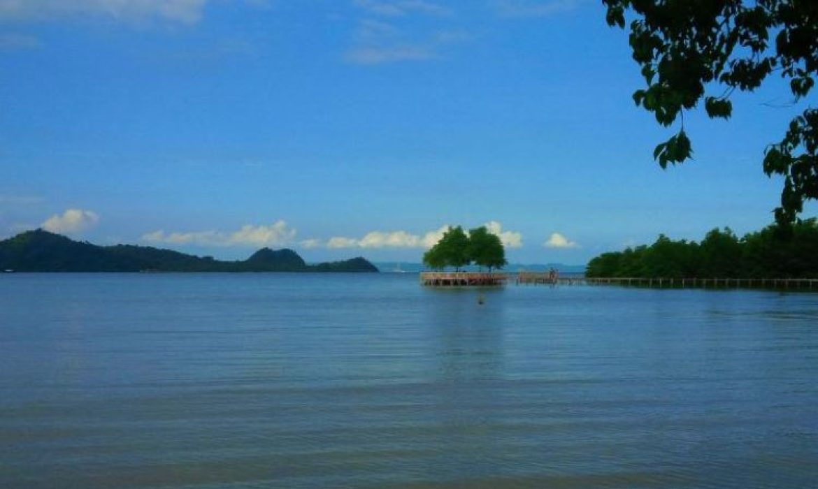 Pantai Dewi Mandapa, Pantai Manis Di Pesawaran Dengan Pesona Hutan Bakau