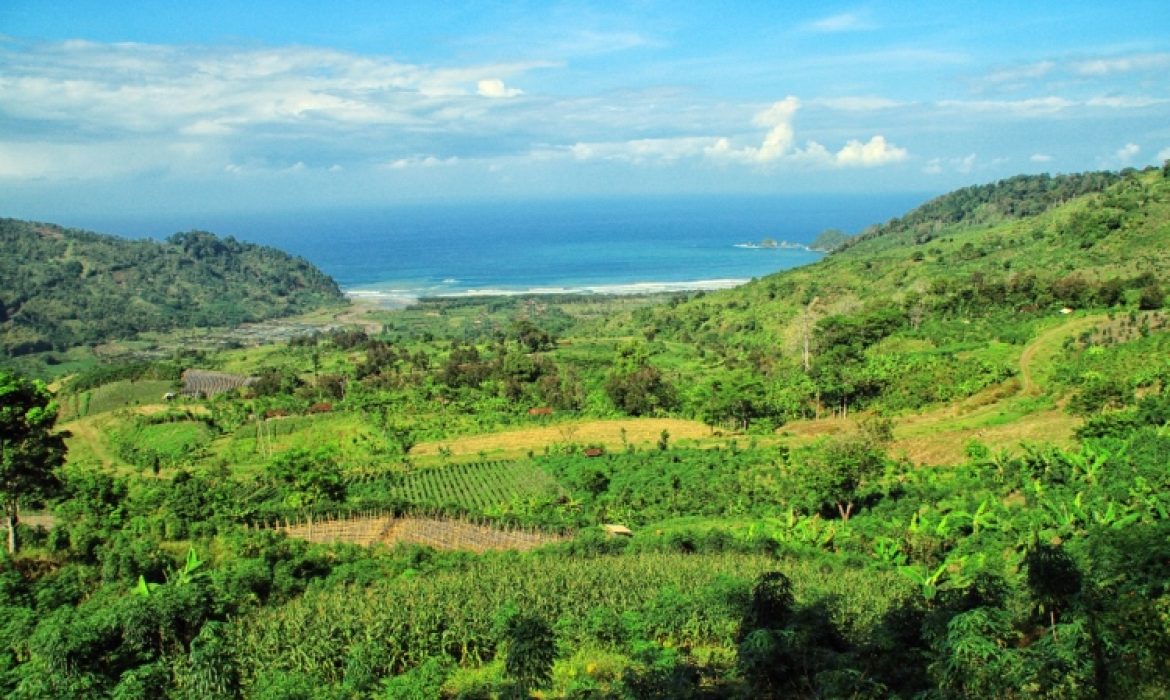 Pantai Jolosutro Blitar – Daya Tarik, Kegiatan Piknik, Lokasi & Harga Tiket