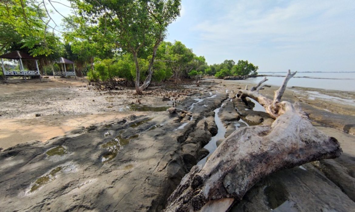 Pantai Kuri Indah Maros – Daya Tarik, Acara Liburan, Lokasi & Harga Tiket