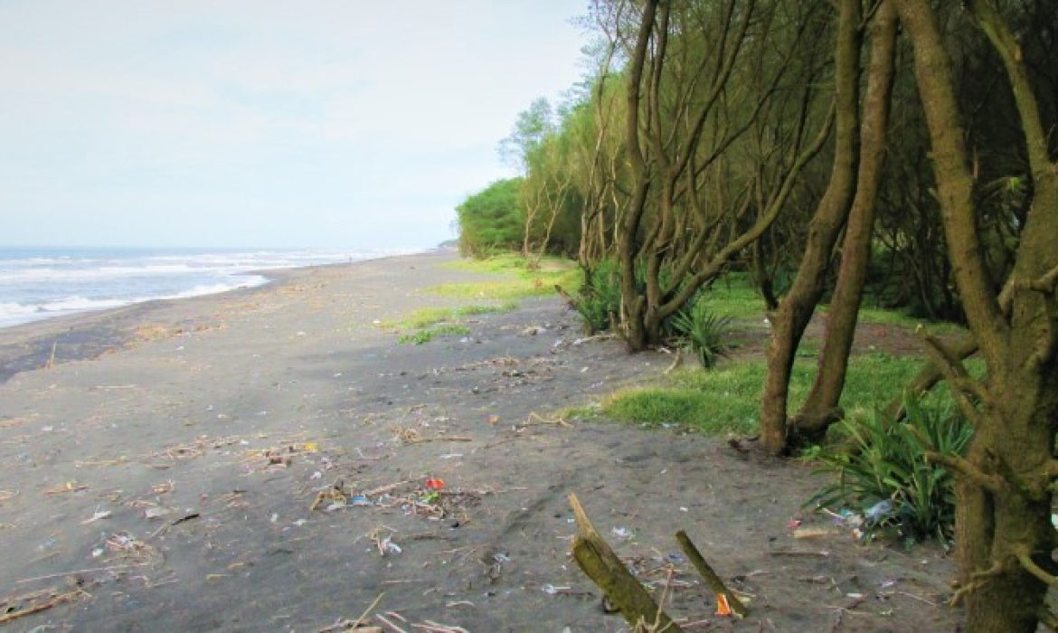 Pantai Kuwaru, Pantai Unik Dengan Panorama Mempesona Di Bantul