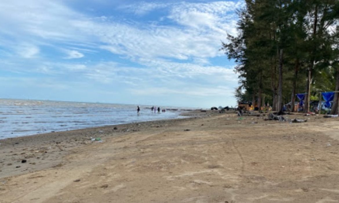 Pantai Lamaru Balikpapan, Daya Tarik Pantai Indah & Pohon Cemara Yang Asri