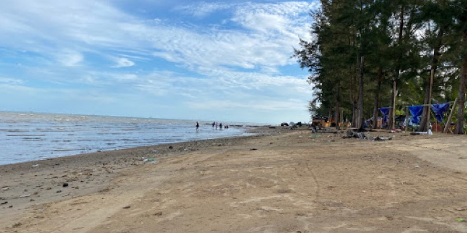 Pantai Lamaru Balikpapan, Daya Tarik Pantai Indah & Pohon Cemara Yang Asri