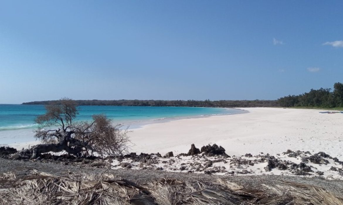 Pantai Liman, Pesona Pantai Hening Yang Menyejukkan Hati Di Kupang