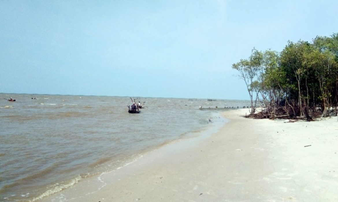 Pantai Mangrove Serdang Bedagai – Pesona, Acara Liburan, Lokasi & Harga Tiket