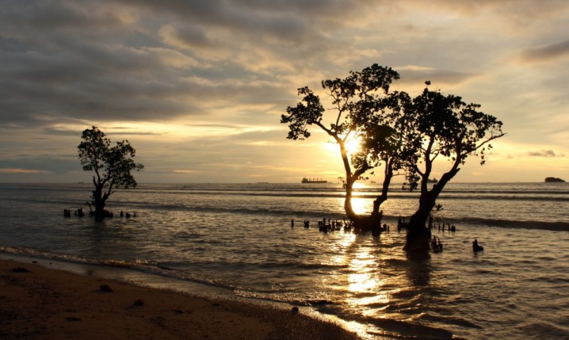 Pantai Nirwana, Pantai Pasir Putih Yang Indah Di Kota Padang