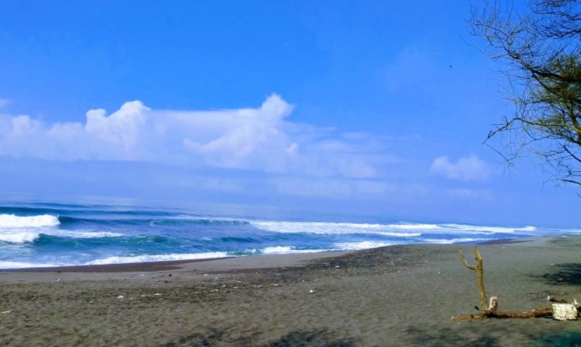 Pantai Pandansimo, Pantai Indah Dengan Pemandangan Alam Memesona Di Bantul Jogja