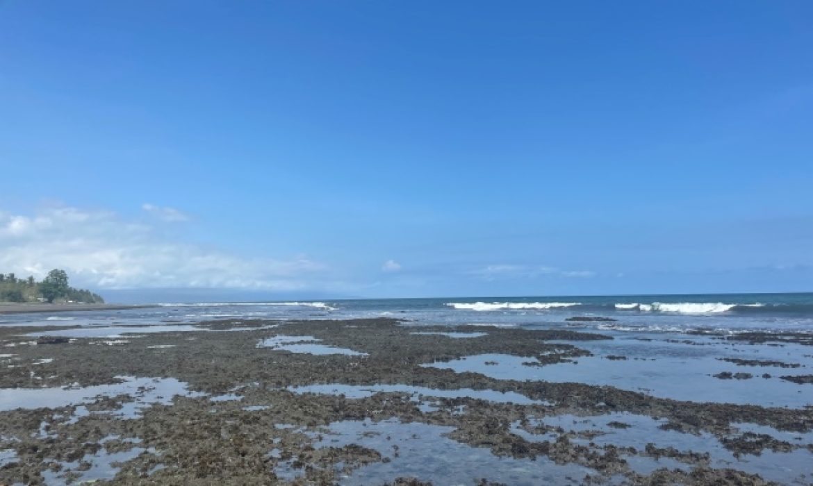 Pantai Perancak, Nikmati Keindahan Pantai Dengan Suasana Hening Di Jembrana Bali