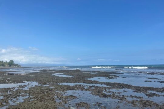 Pantai Perancak, Nikmati Keindahan Pantai Dengan Suasana Hening Di Jembrana Bali