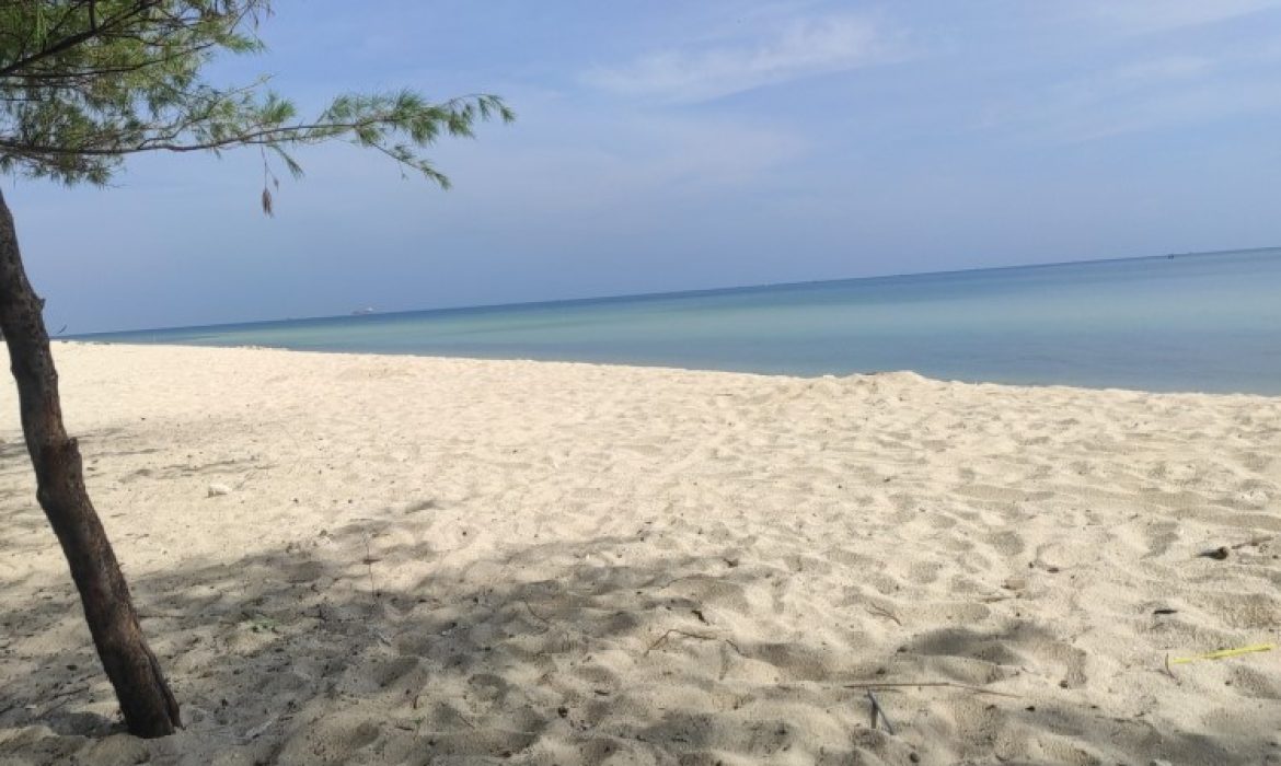 Pantai Remen Tuban – Pesona, Aktivitas Piknik, Lokasi & Harga Tiket