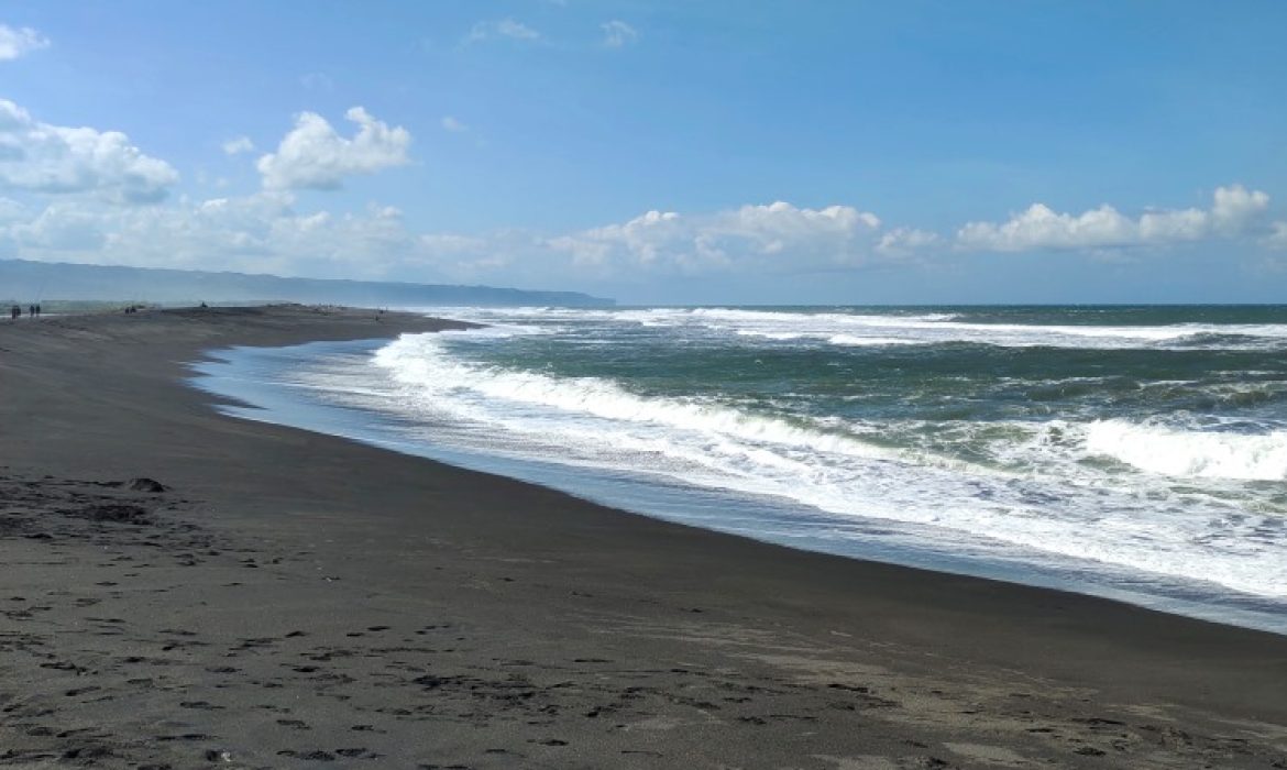 Pantai Samas Bantul, Daya Tarik Wisata Pantai Eksotis & Taman Bunga Matahari