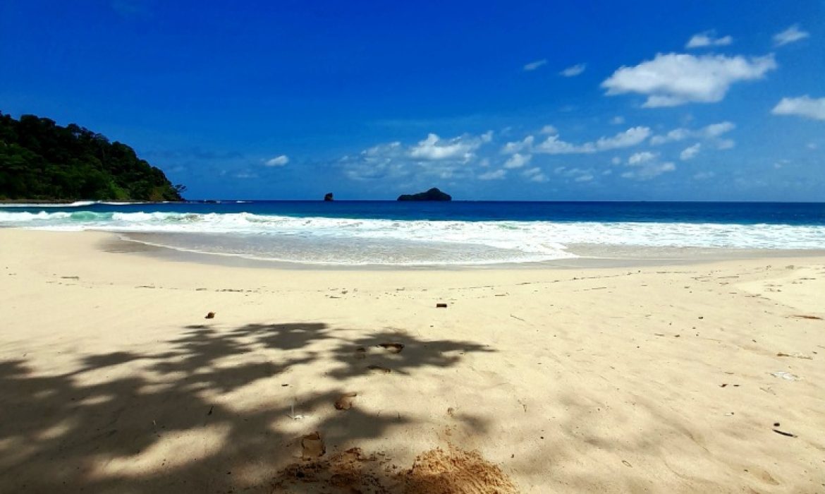 Pantai Sendiki Malang – Pesona, Kegiatan Piknik, Lokasi & Harga Tiket