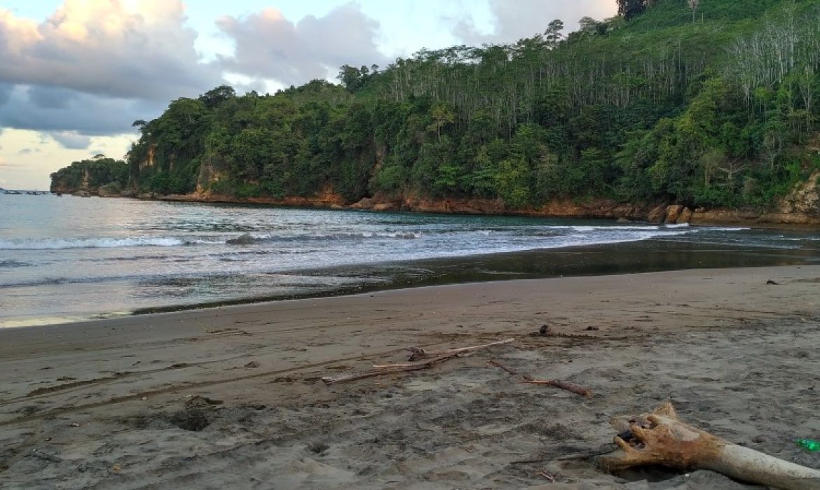 Pantai Sine Tulungagung – Daya Tarik, Kegiatan Liburan, Lokasi & Harga Tiket