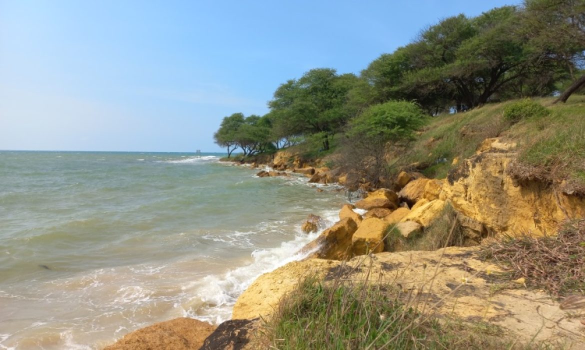 10 Rekreasi Pantai Di Tuban Yang Paling Hits