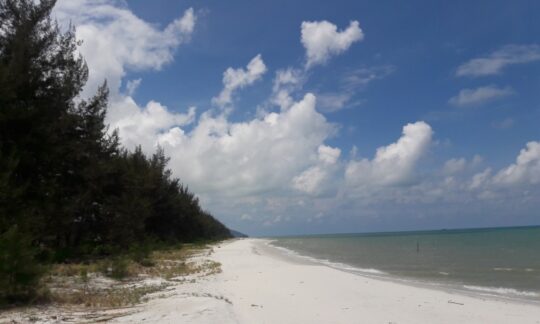 Pantai Tambak Belitung, Wisata Maritim Eksotis Dengan Keindahan Biota Lautnya
