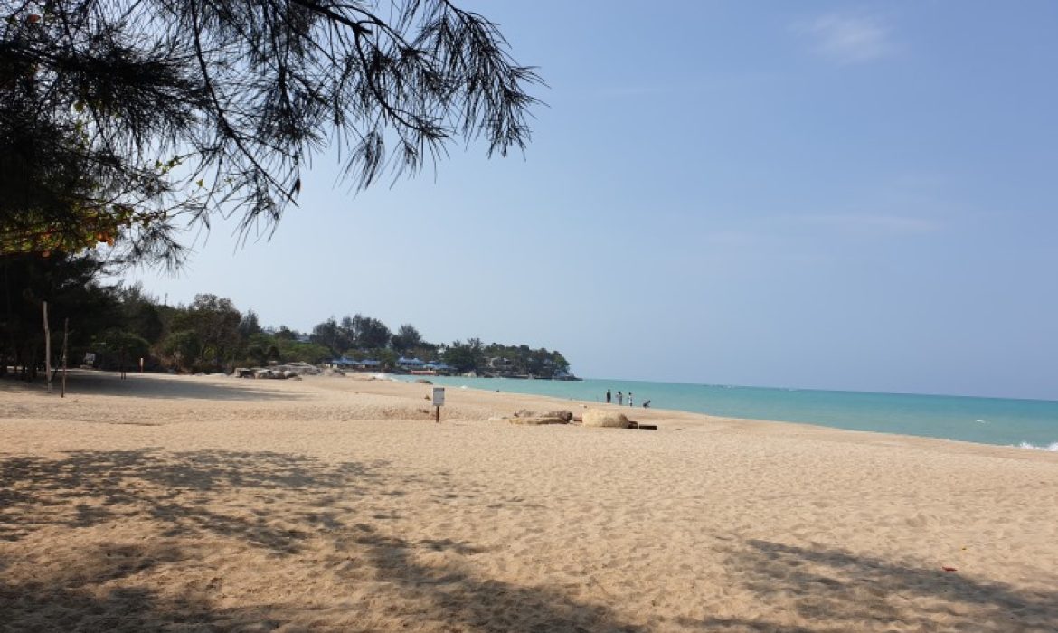 Pantai Tikus Emas Bangka, Pantai Unik Yang Indah Dihiasi Cemara