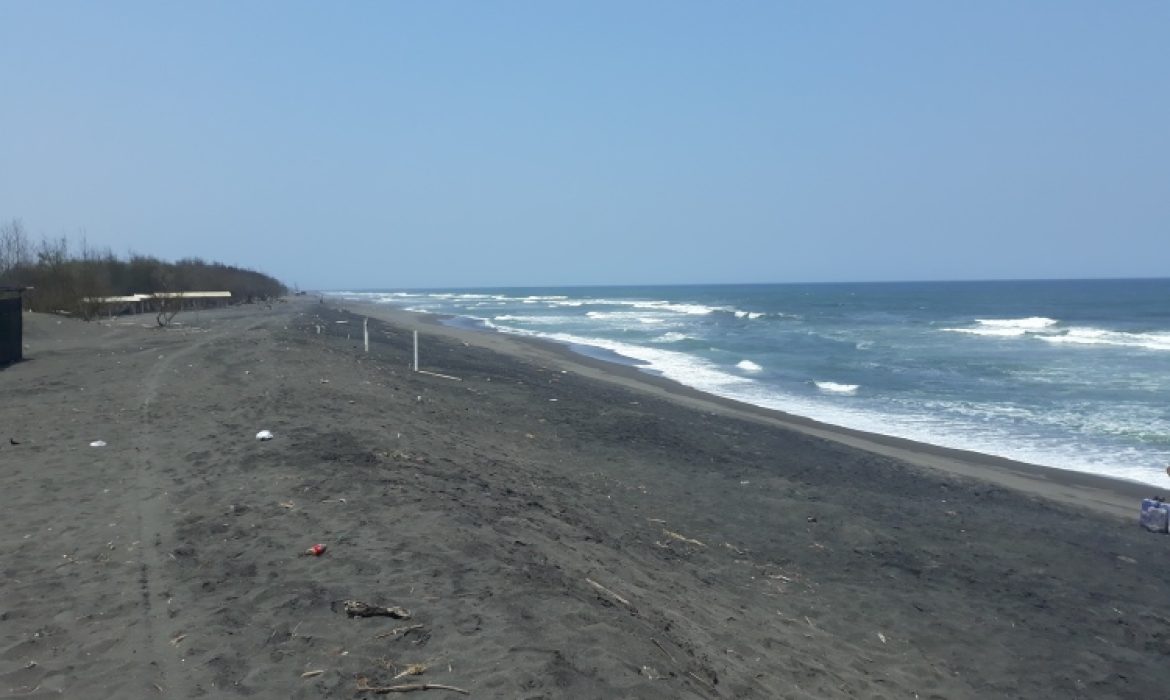 Pantai Trisik Kulon Progo – Daya Tarik, Kegiatan Liburan, Lokasi & Harga Tiket