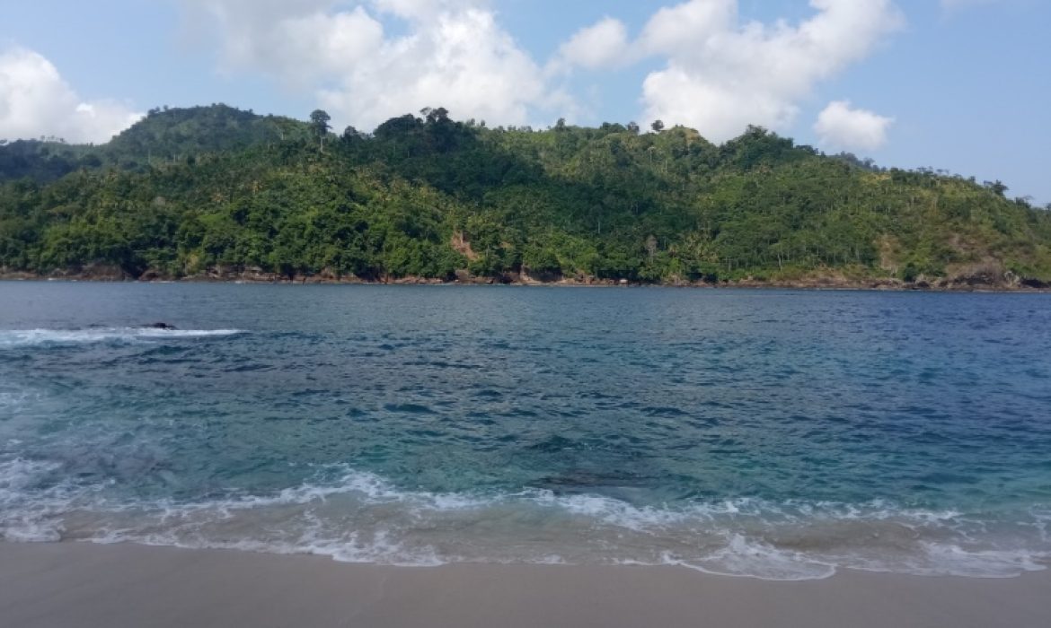 Pantai Wedi Putih Malang, Pantai Eksotis Dengan Keindahan Bawah Lautnya