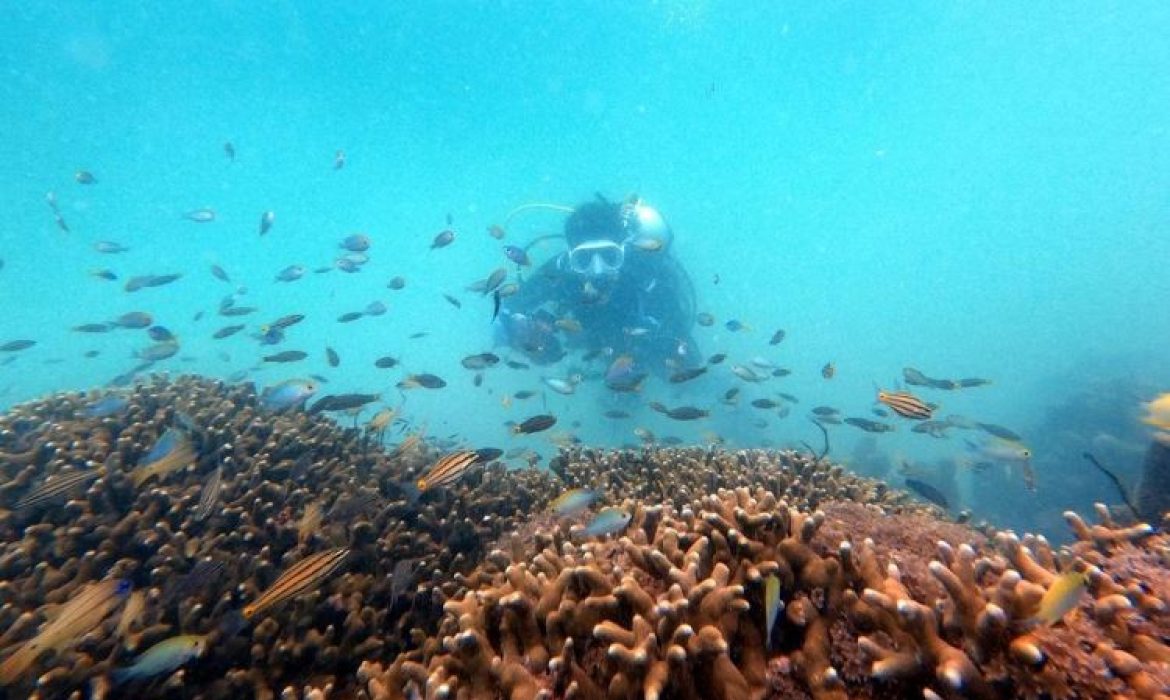 Pulau Barrang Lompo, Destinasi Rekreasi Bahari Favorit Para Pecinta Snorkeling