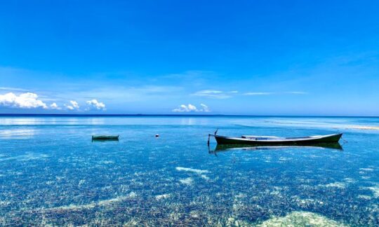 Daya Tarik Pulau Bonetambu, Spot Terbaik Untuk Para Pecinta Snorkeling Di Makassar