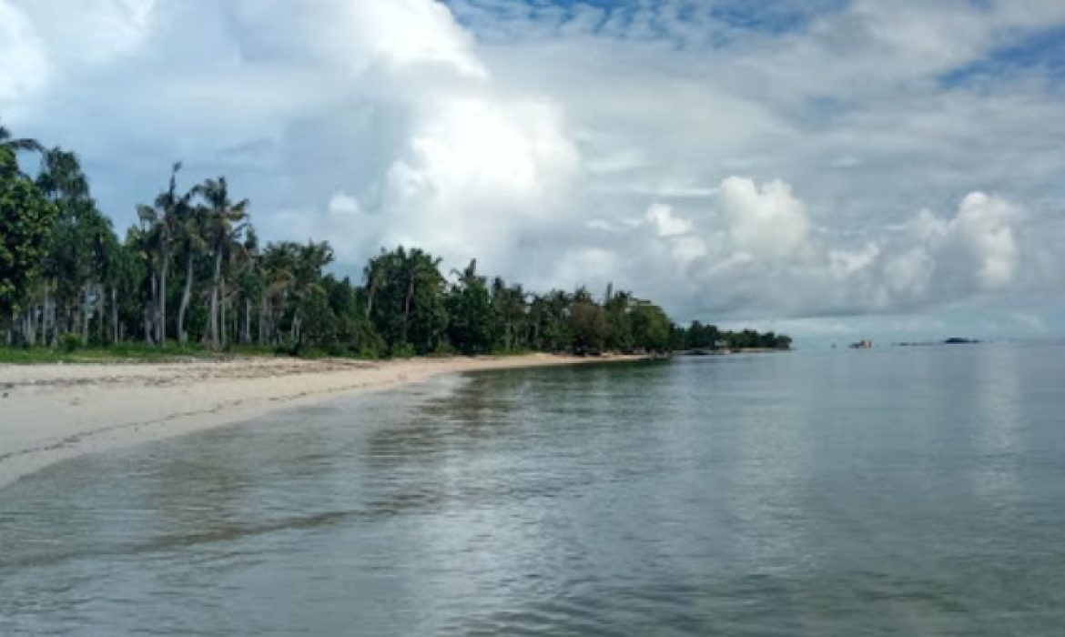 Pulau Buaya Sorong, Pesona Pulau Indah Nan Alami Yang Memikat Hati