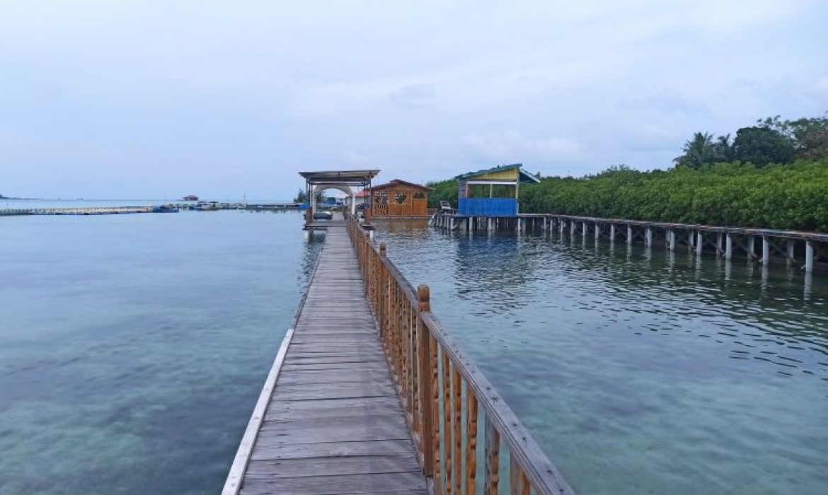 Pulau Kelapa, Pulau Manis Dengan Biota Laut Yang Fantastis Di Kepulauan Seribu