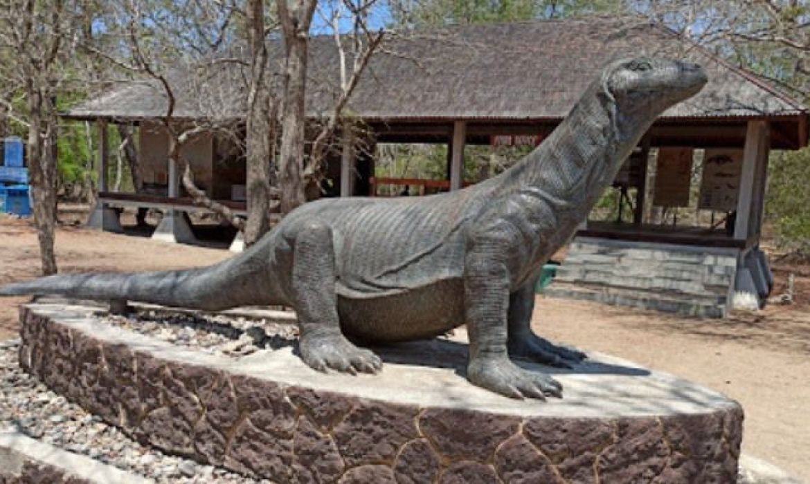 Pulau Komodo Manggarai Barat – Pesona, Kegiatan Liburan, Lokasi & Ongkos Rekreasi