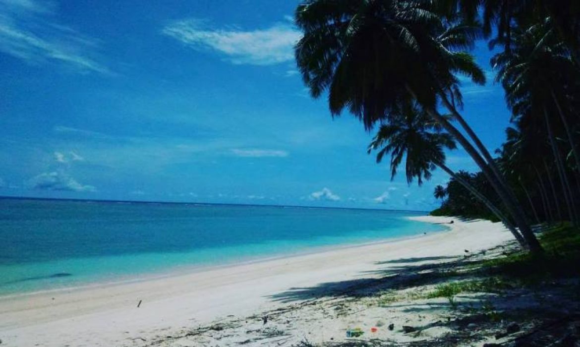 Pulau Siberut Mentawai, Daya Tarik Pulau Eksotis Yang Kaya Keanekaragaman Hayati